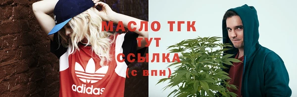 прущие крисы Ельня