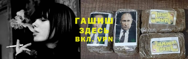 прущие крисы Ельня