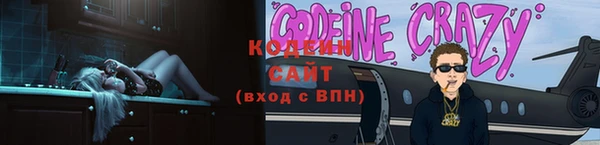 прущие крисы Ельня