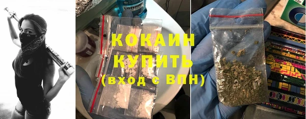винт Елизово