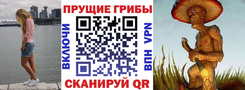 как найти закладки  Северо-Курильск  Галлюциногенные грибы Magic Shrooms 
